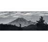 Link to "Evening Light, Mt. Rainier" by Steve McMIllan